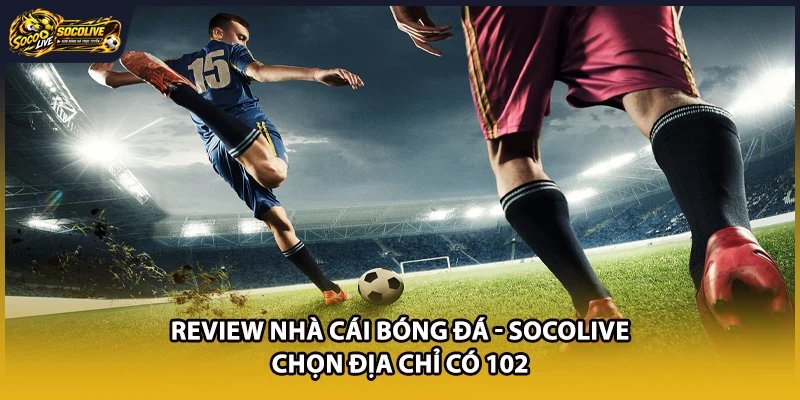 Review Nhà Cái Bóng Đá - Socolive Chọn Địa Chỉ Có 102