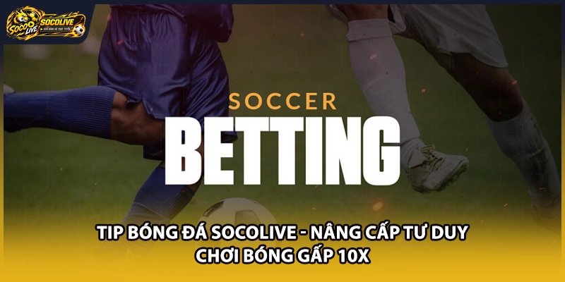 Tip Bóng Đá Socolive - Nâng Cấp Tư Duy Chơi Bóng Gấp 10x